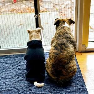 Meet your Posher, Toni